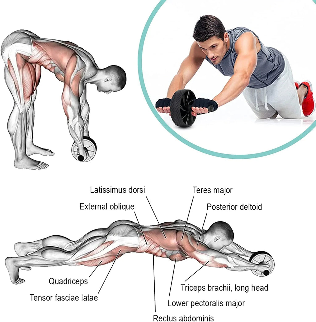 Ab Roller Wheel | Core Strength & Stability Training Tool