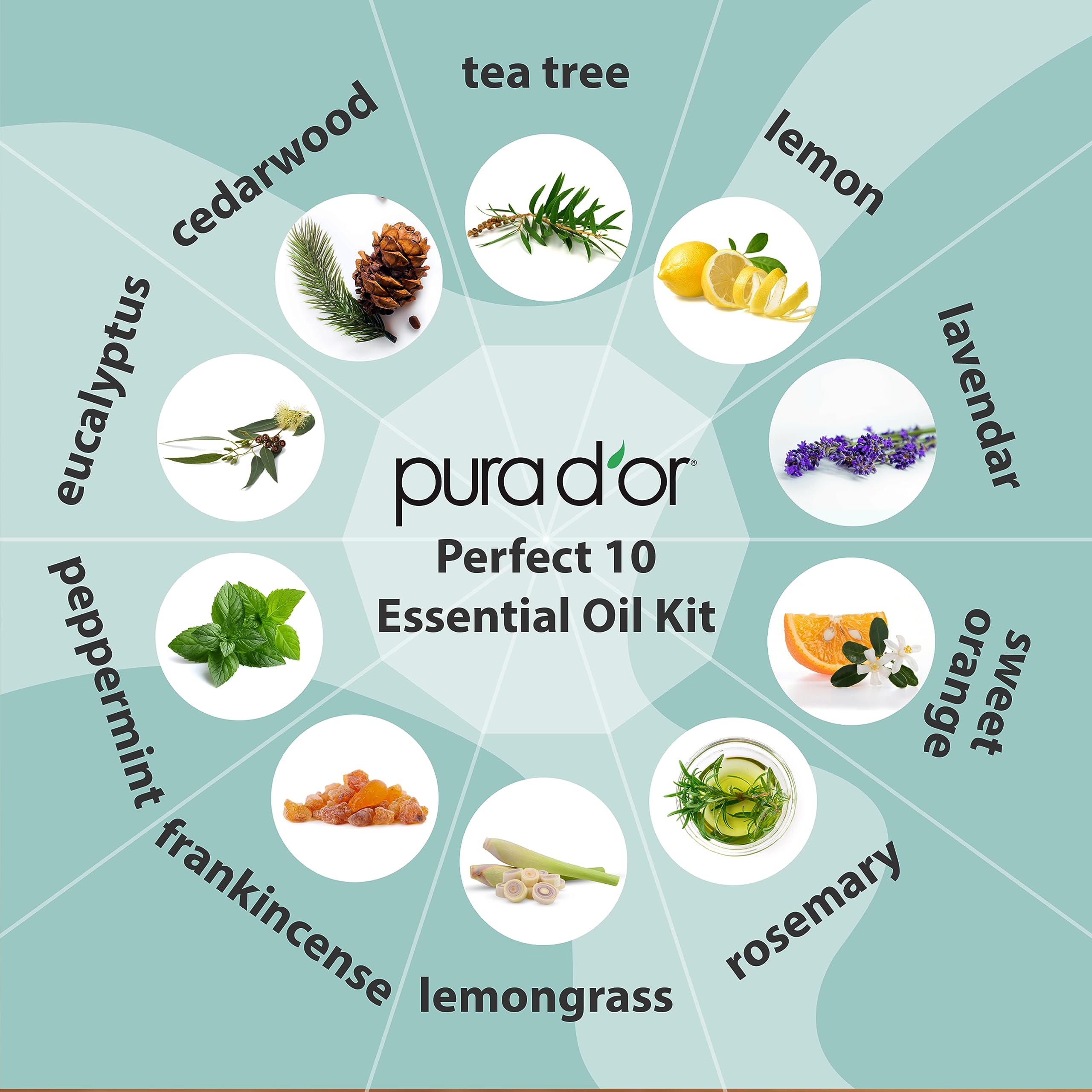 Organic Essential Oils Set (16 Pack) | Relaxation, Stress Relief & Wellness Rituals