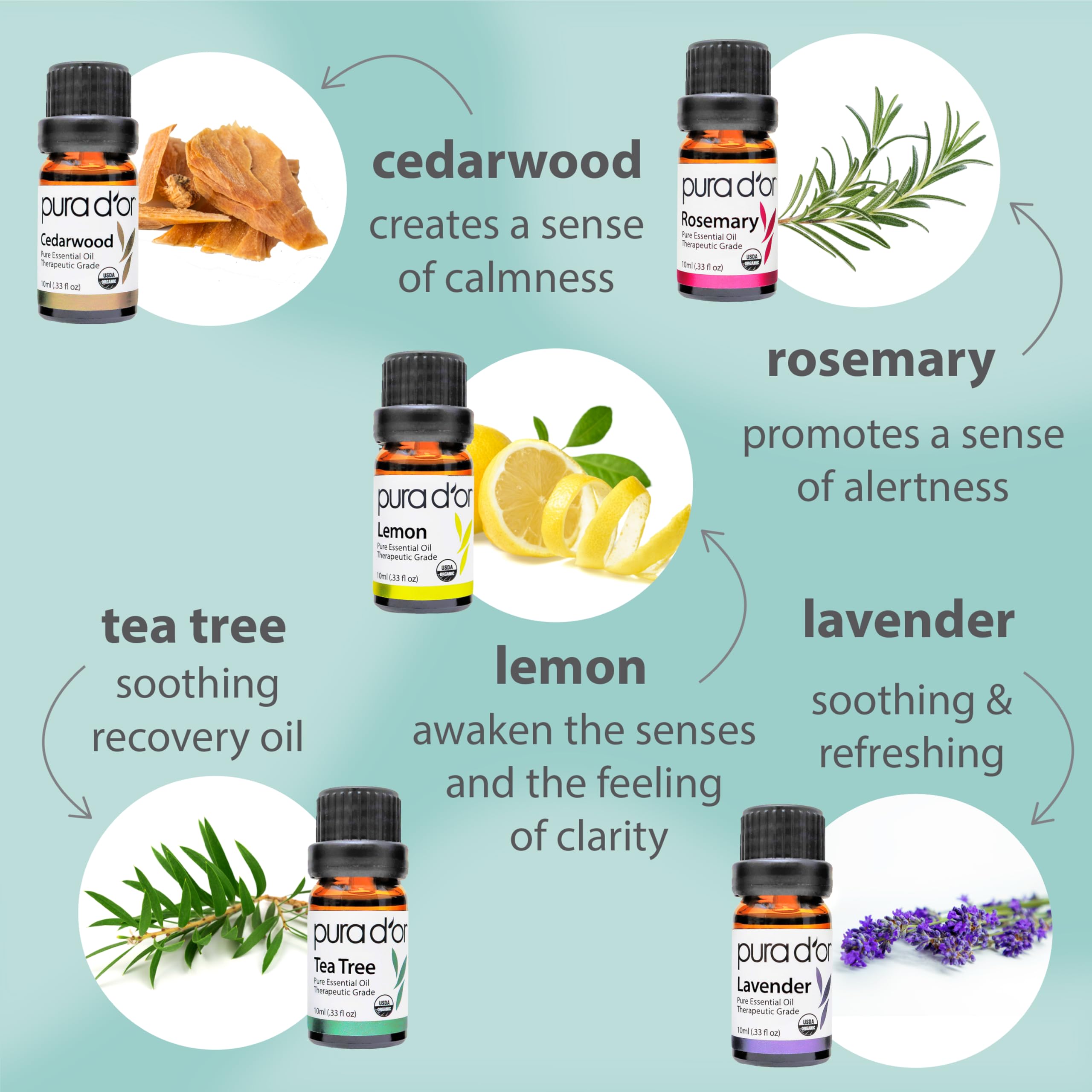 Organic Essential Oils Set (16 Pack) | Relaxation, Stress Relief & Wellness Rituals