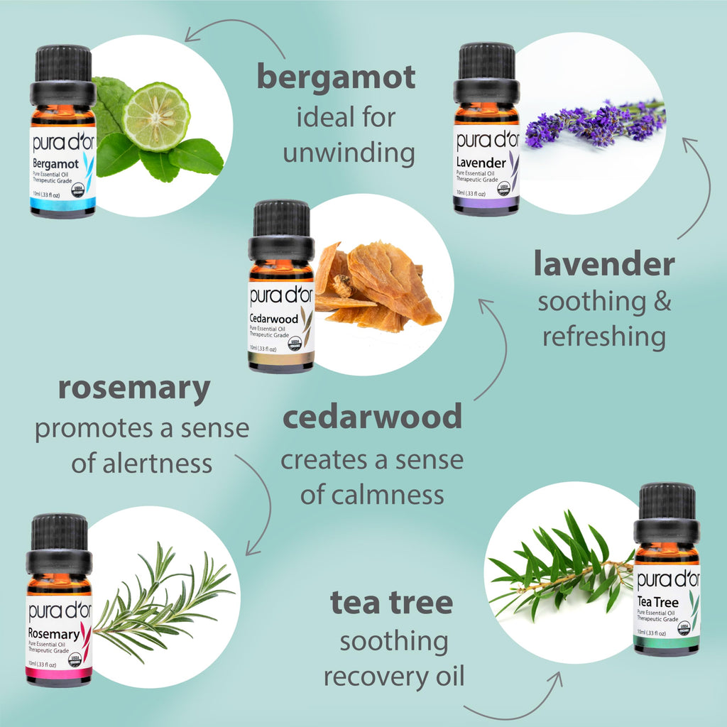 Organic Essential Oils Set (16 Pack) | Relaxation, Stress Relief & Wellness Rituals