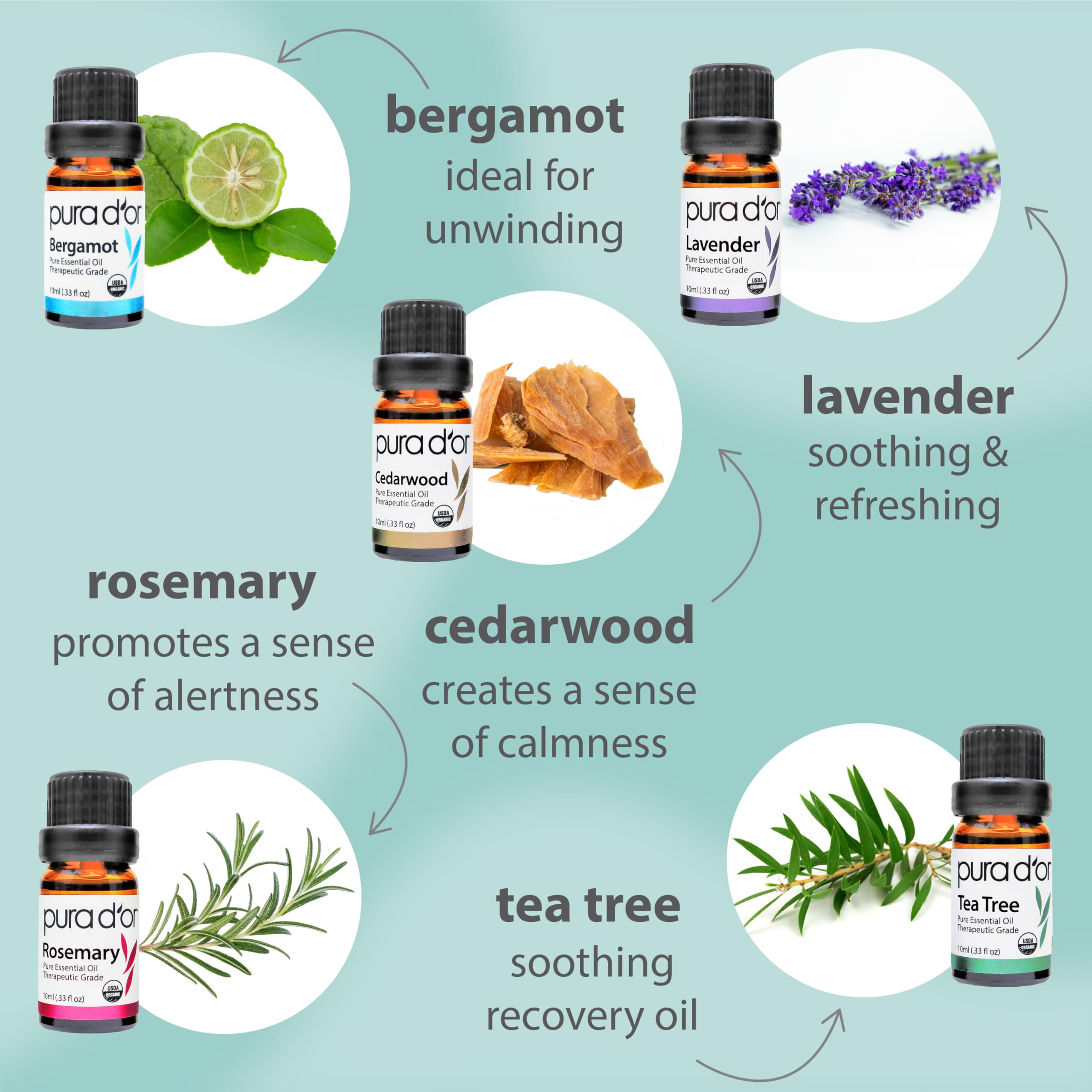 Organic Essential Oils Set (16 Pack) | Relaxation, Stress Relief & Wellness Rituals